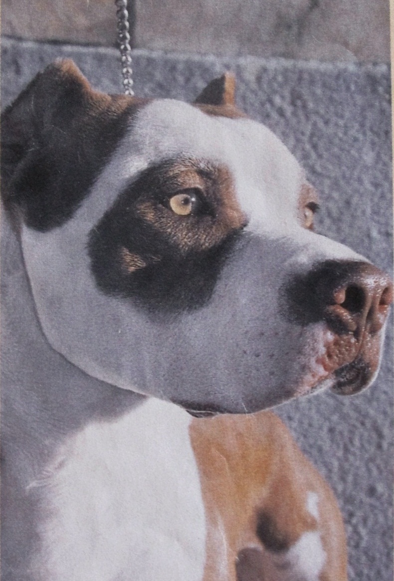 Hattie